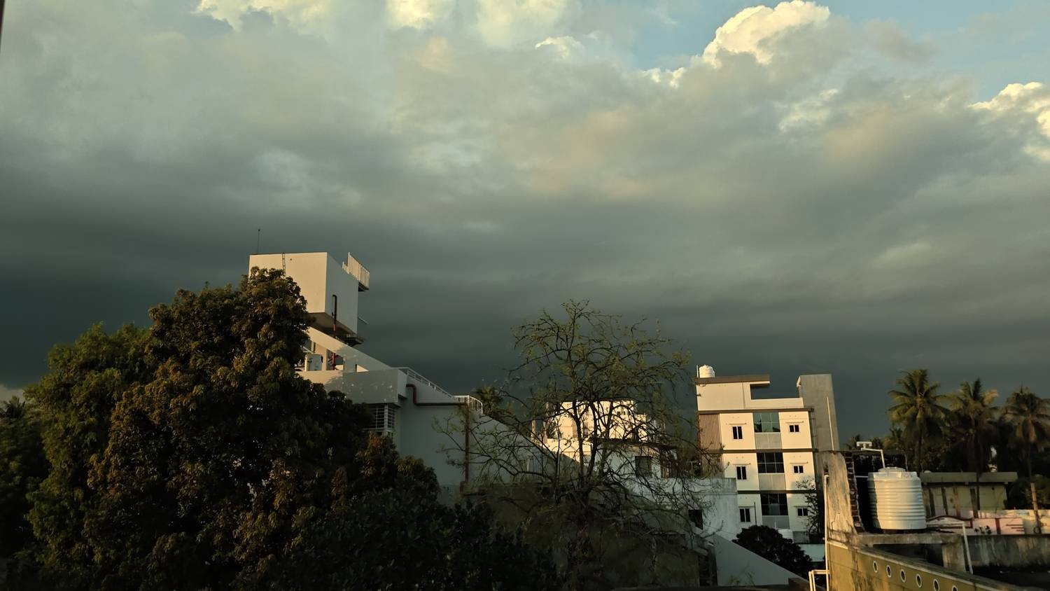 Before the Rain