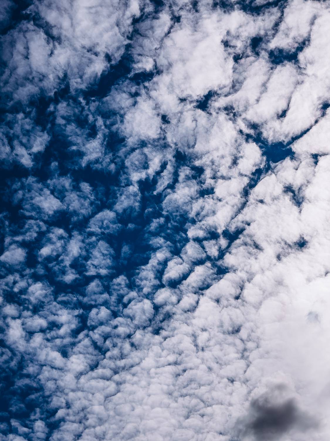 Photo #13745884