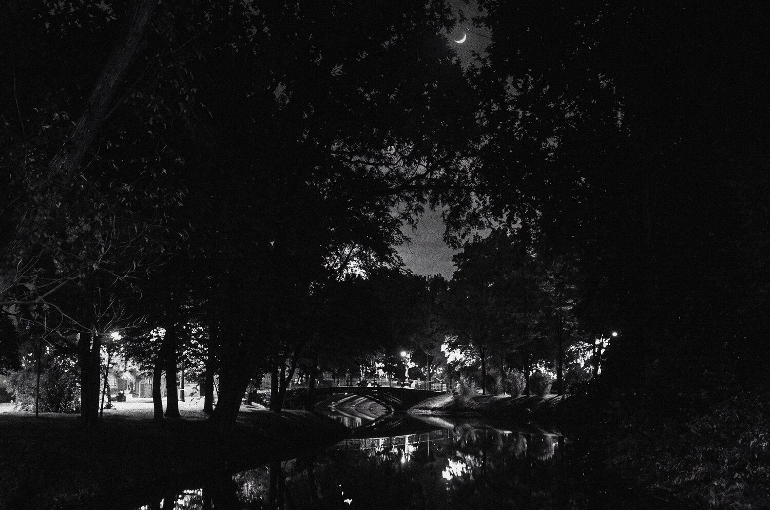 Photo #13745913