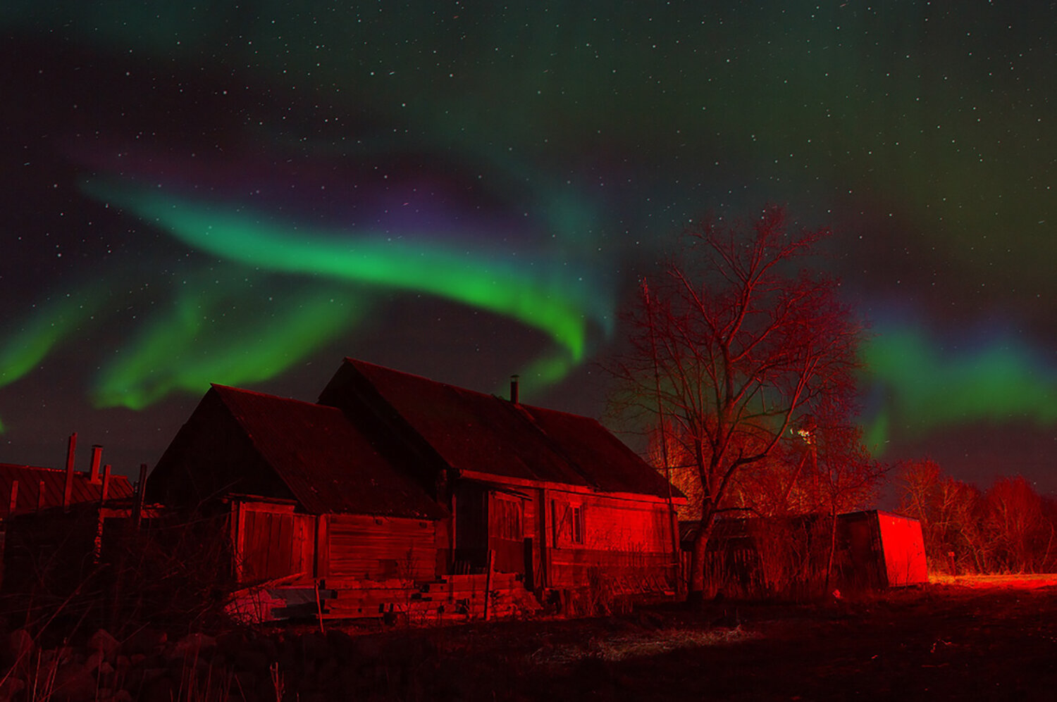 Photo #13745954