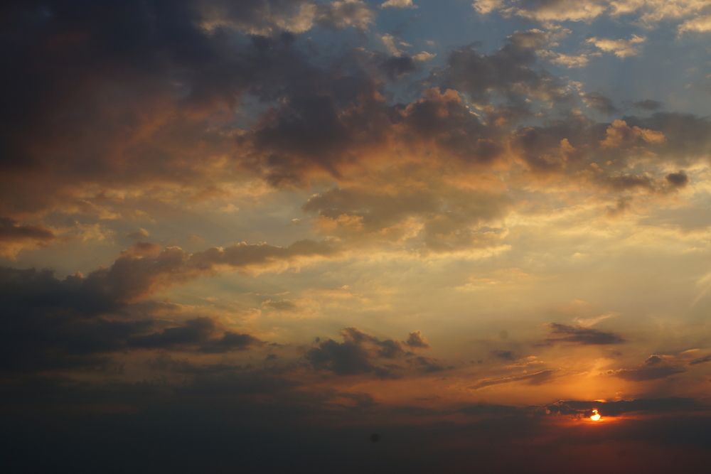 Photo #13746101