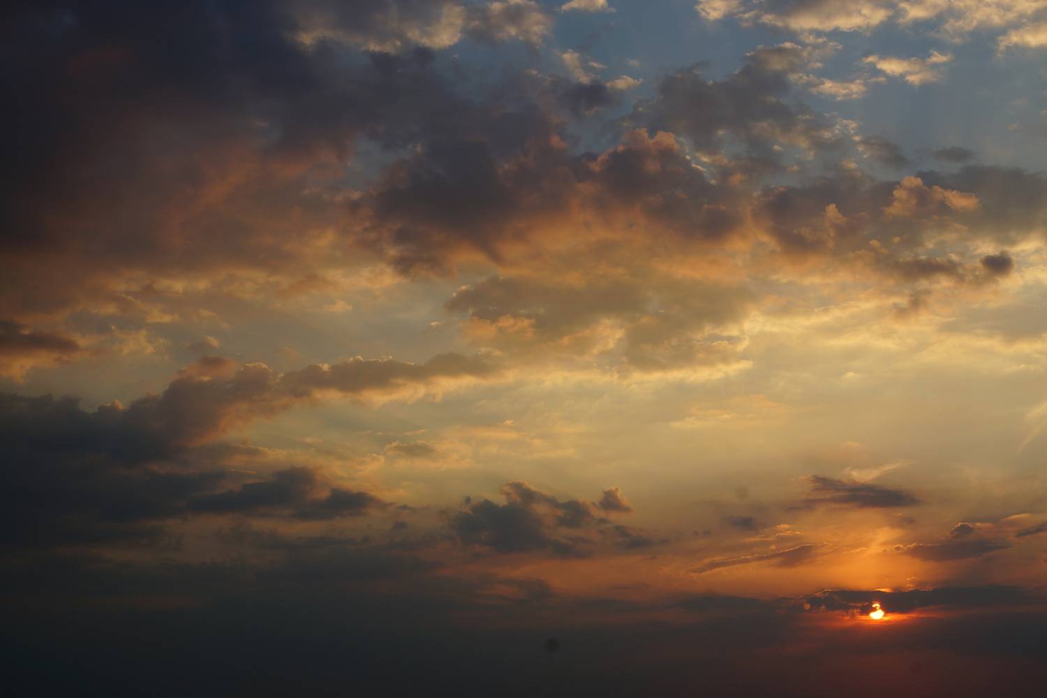 Photo #13746101