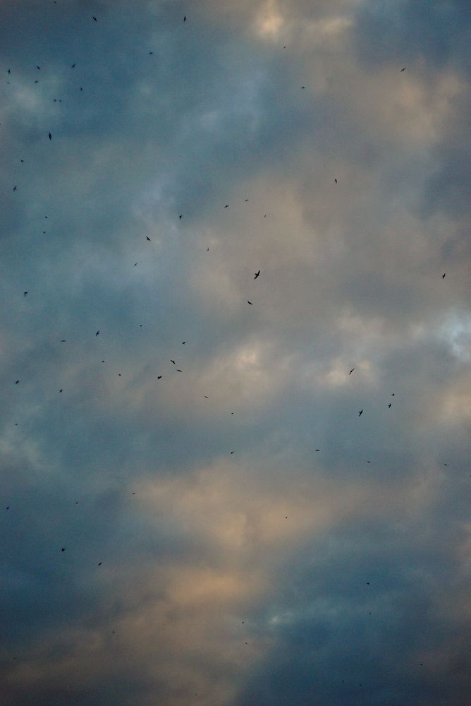 Photograph by Анастасия Конюхова