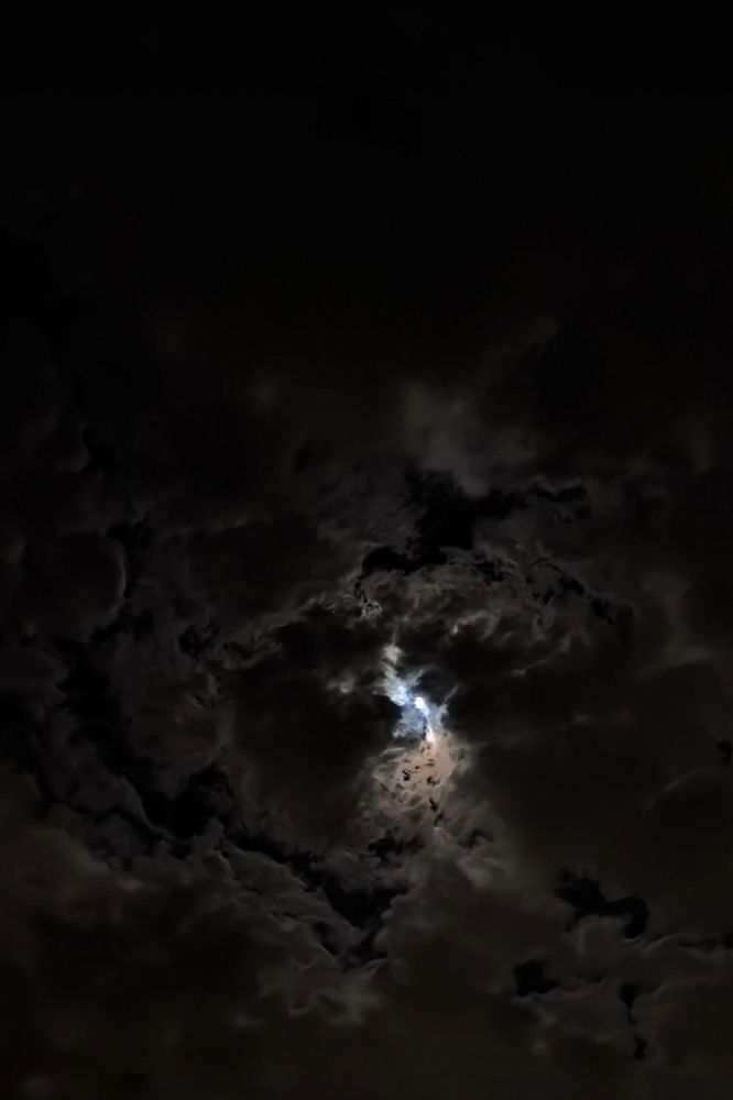 Photograph by Алена Пупышева