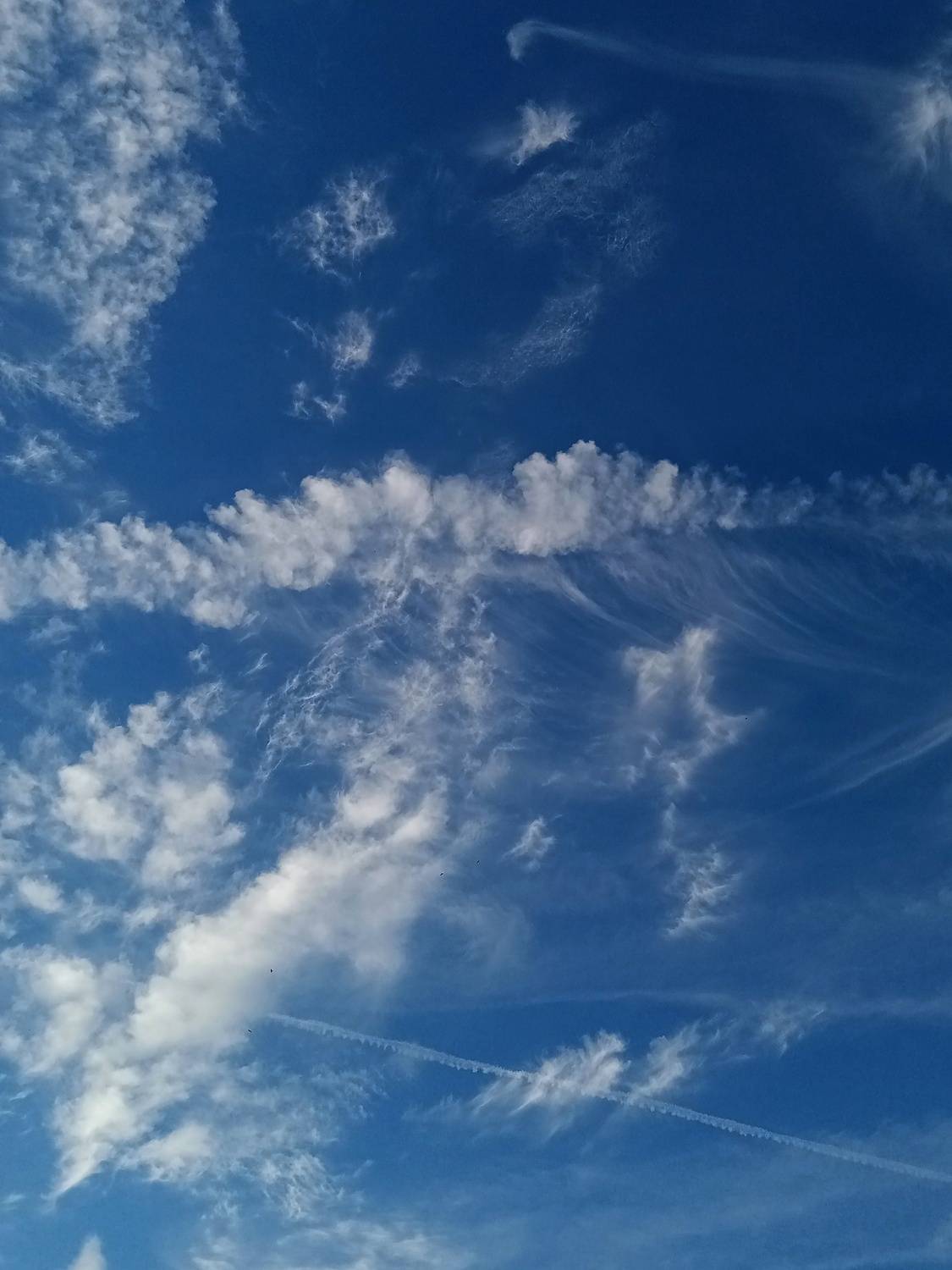 Photo #13746176