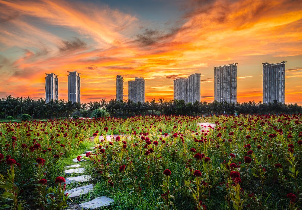 Photograph by Tran Linh