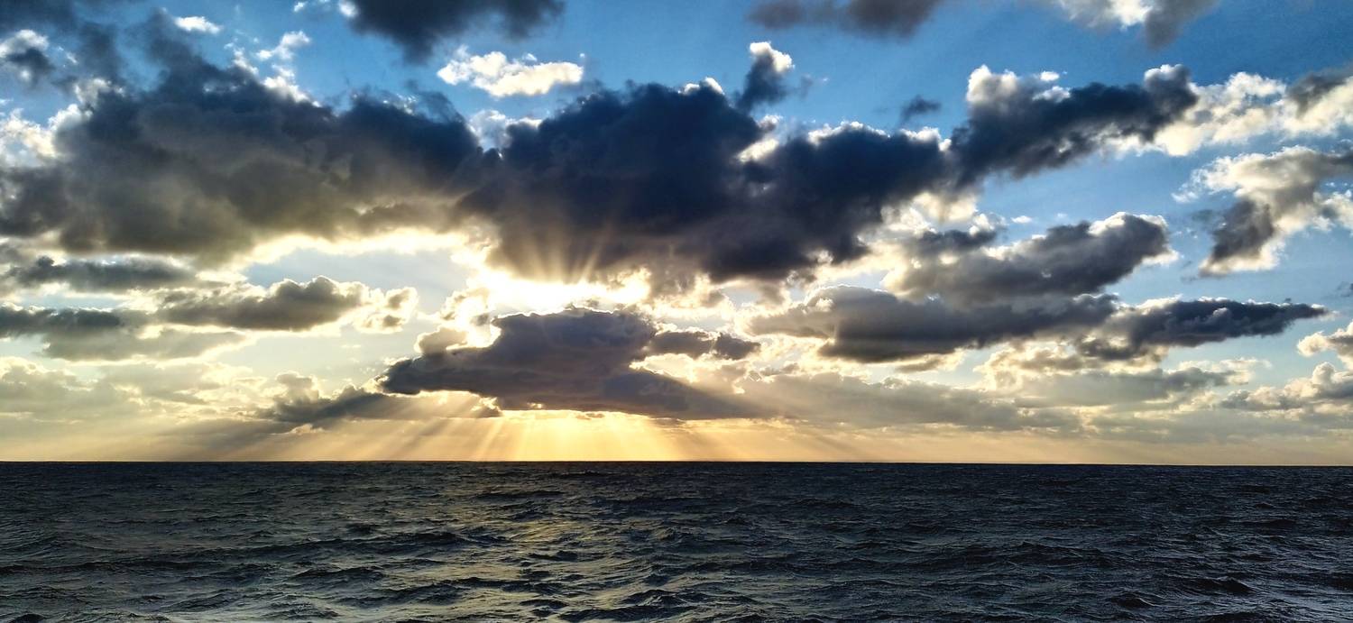 Photo #13746285