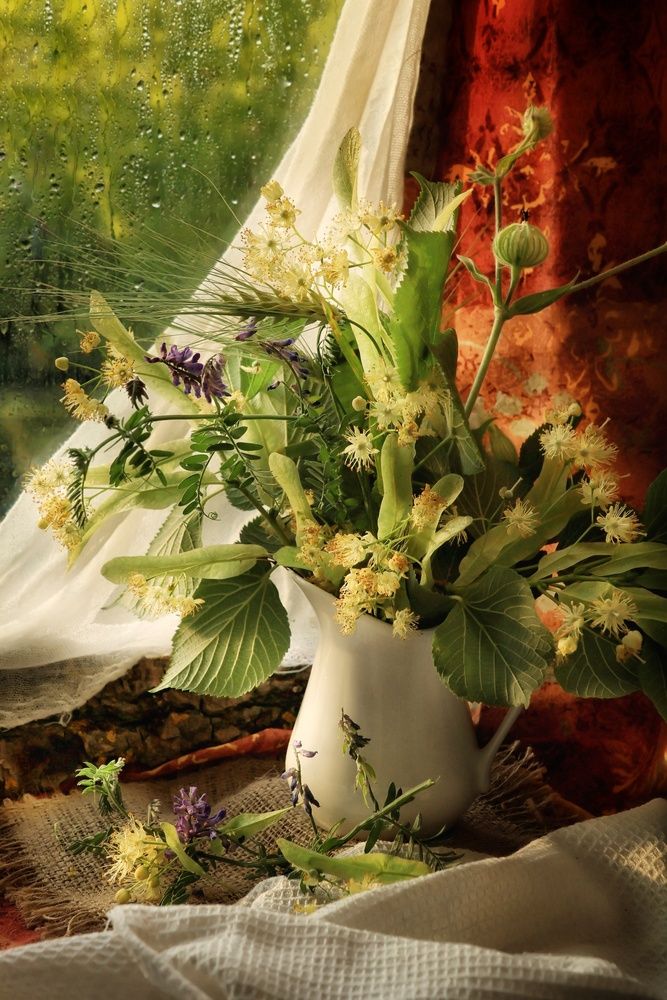 Photograph by Olga Asson