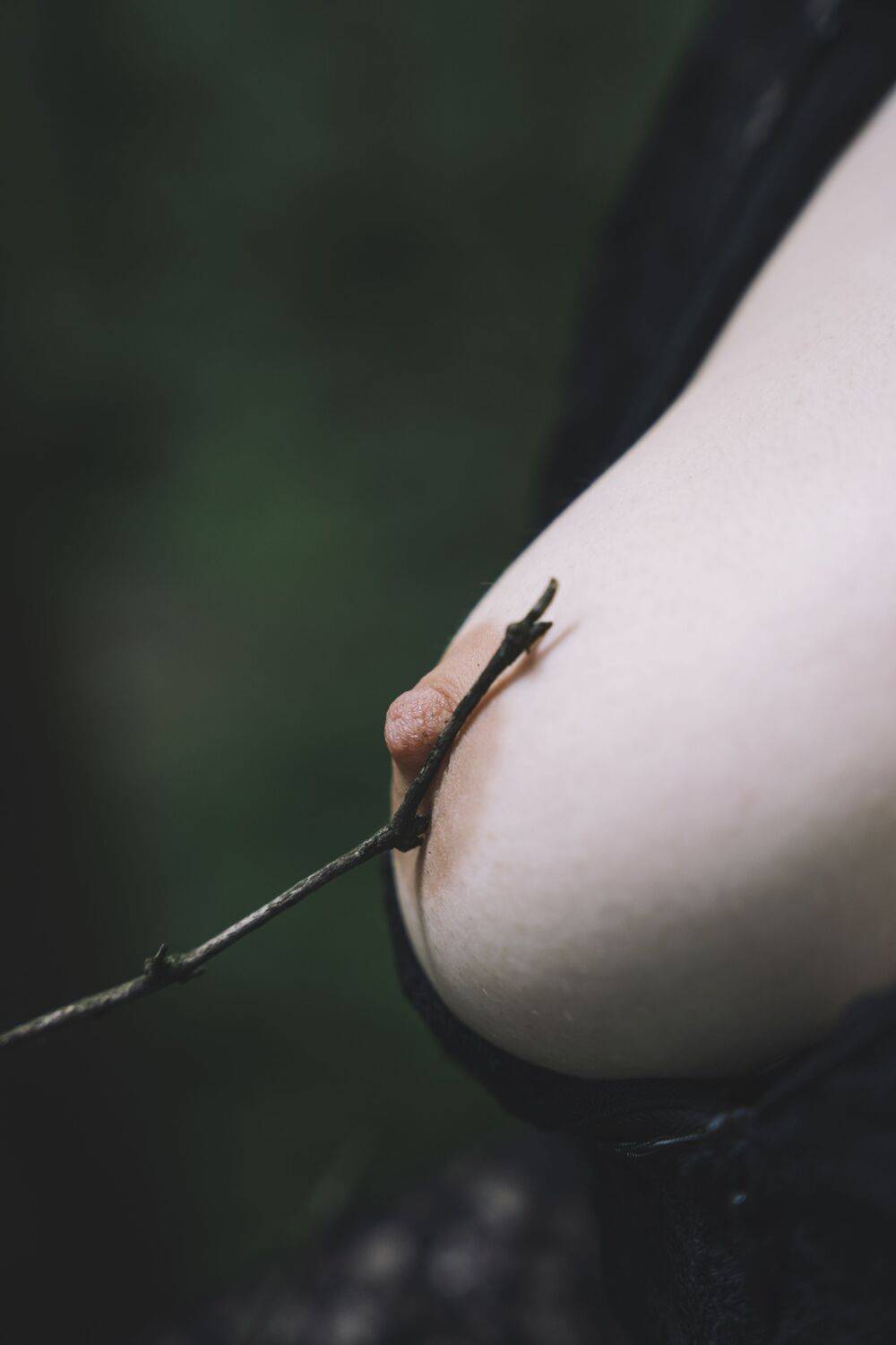 Photo #13746327