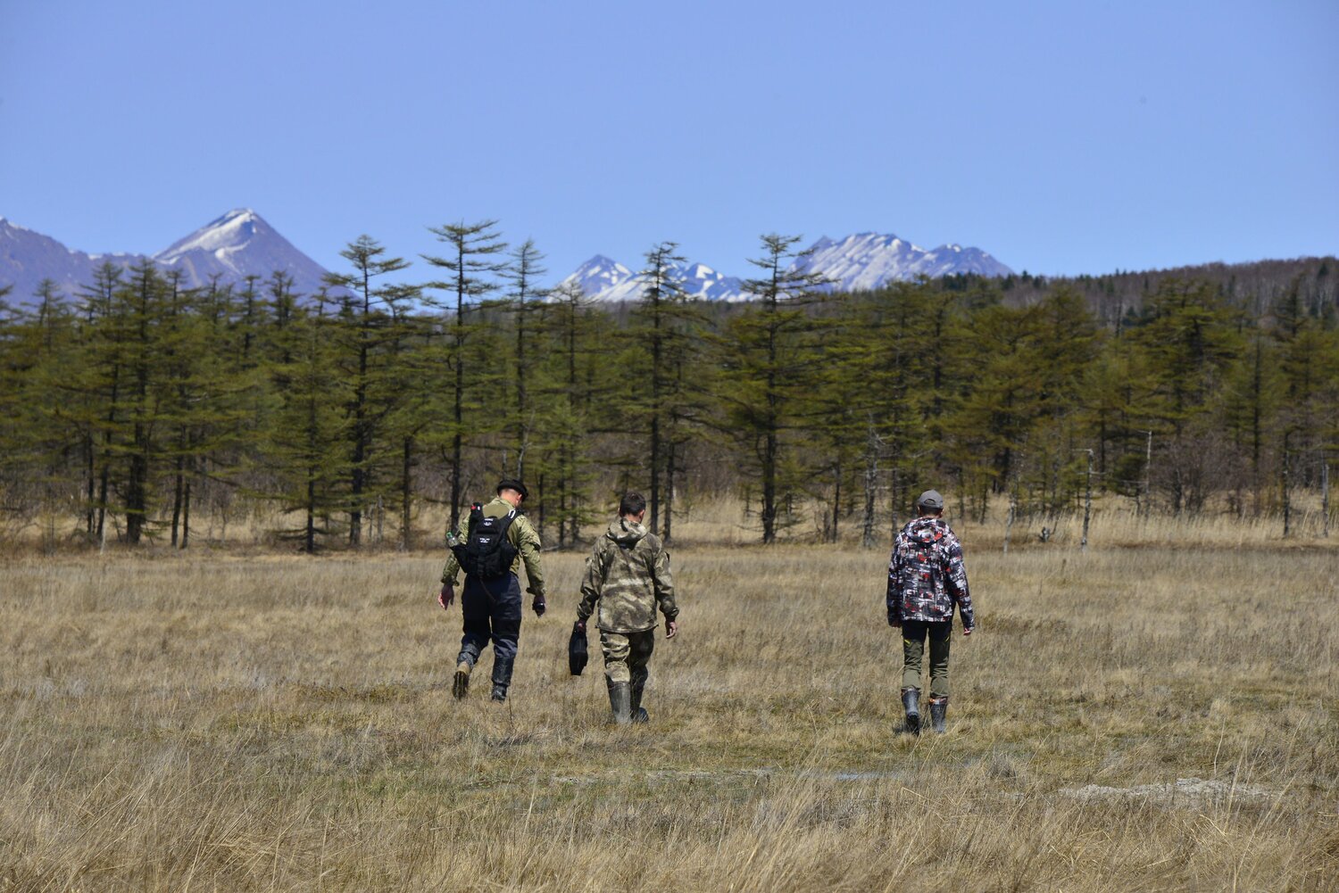 Photo #13746335
