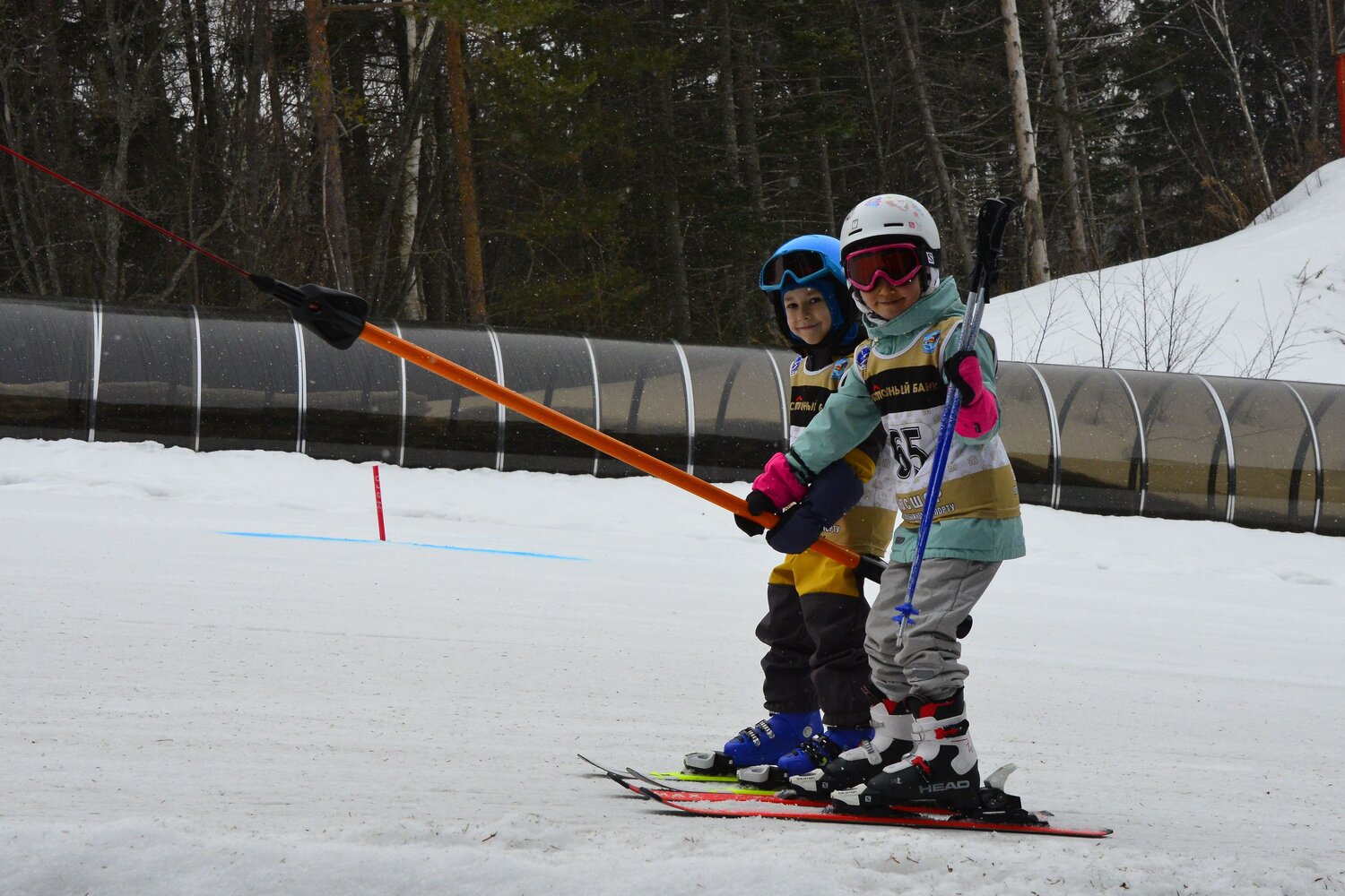 Photo #13746348