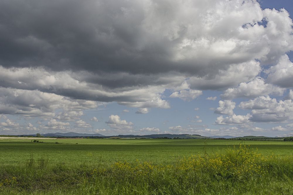 Photograph by Забудская Наталья
