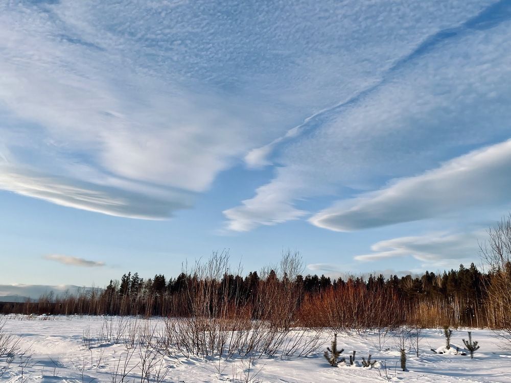 Photograph by Светлана Хохлова
