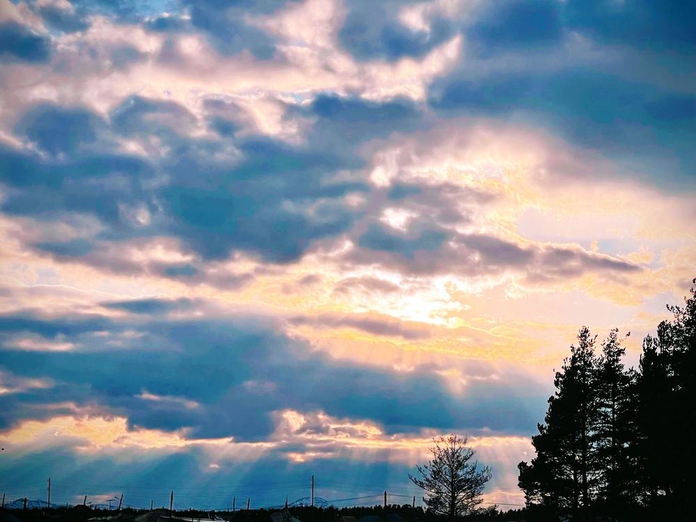 Photograph by Светлана Хохлова