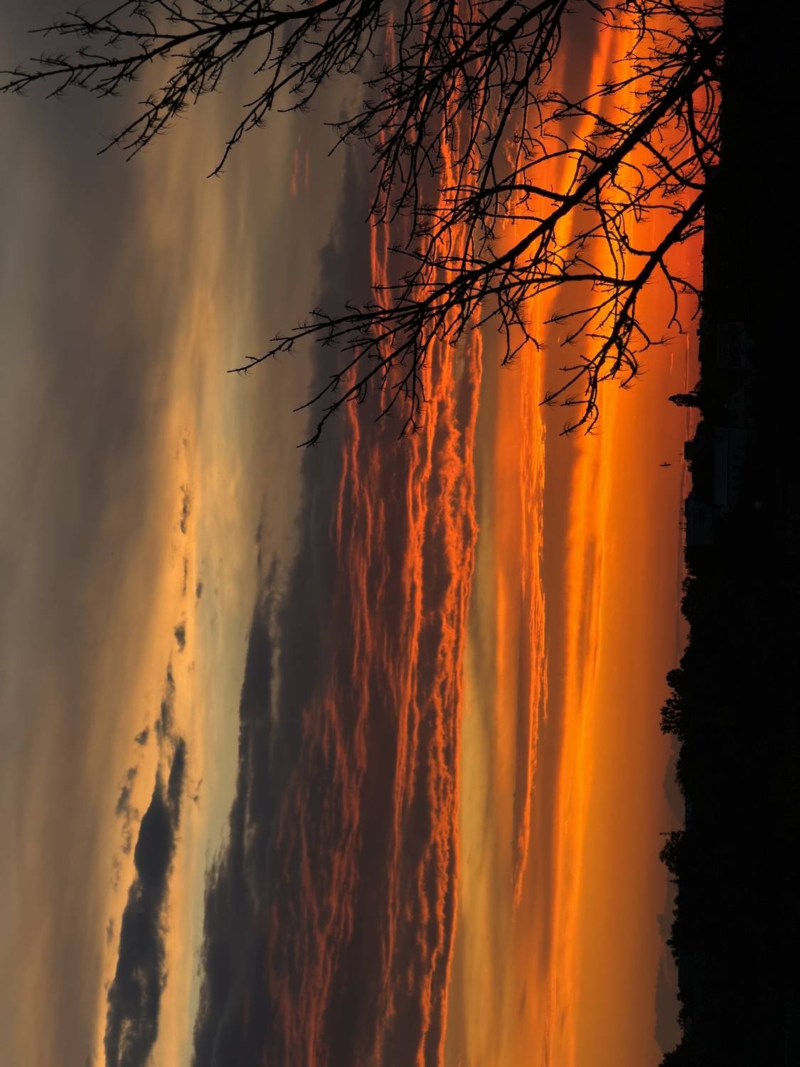 Photo #13746514