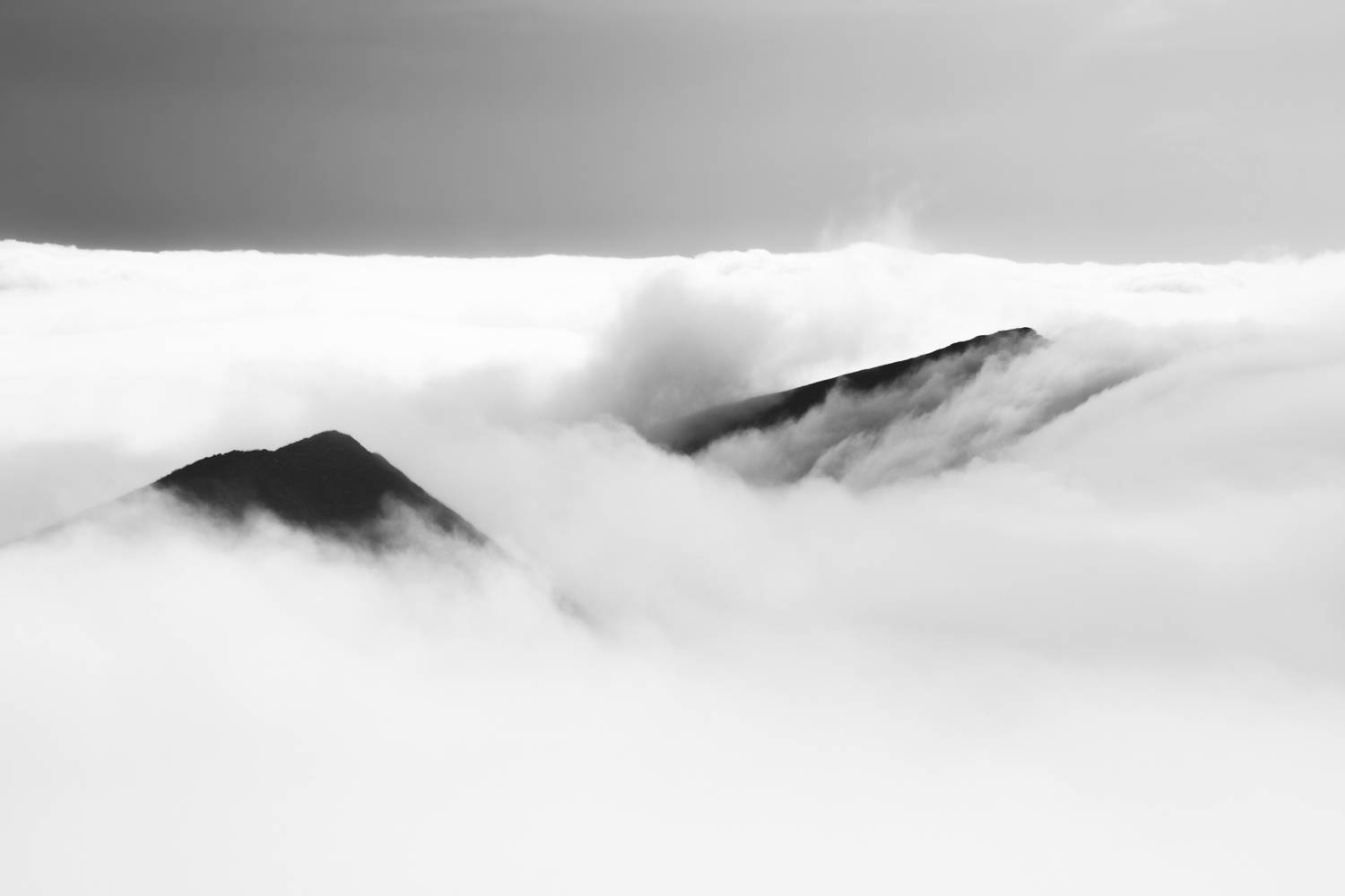 Photo #13746516
