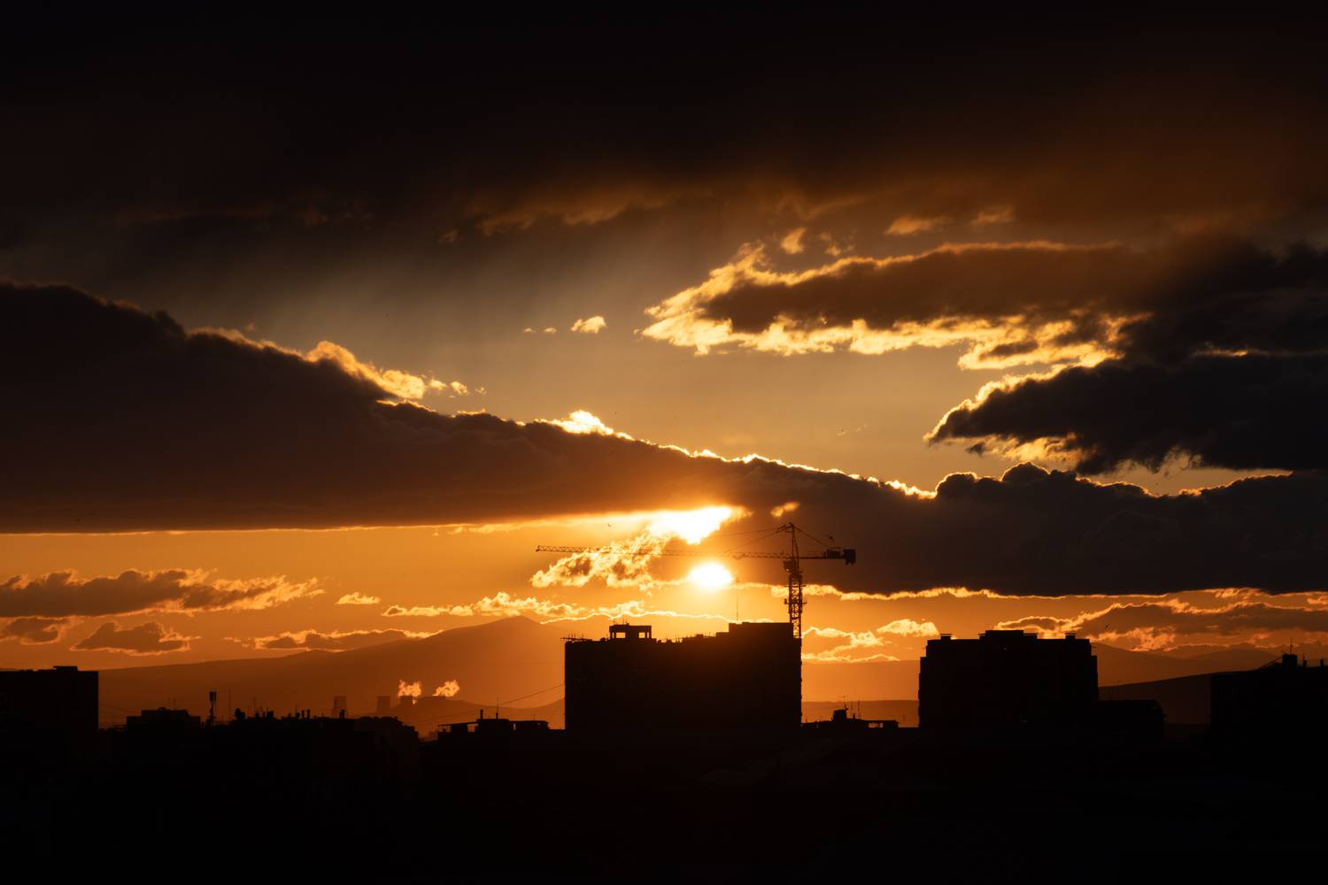 Photo #13746517