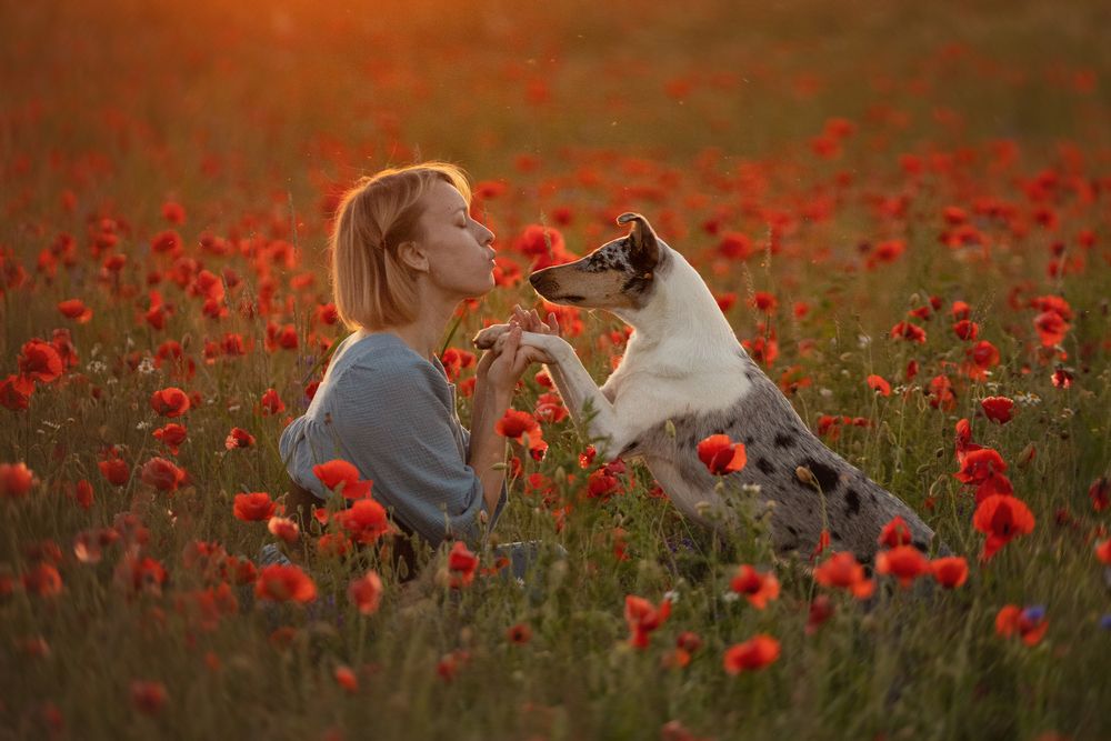 Photograph by Ольга Петракова