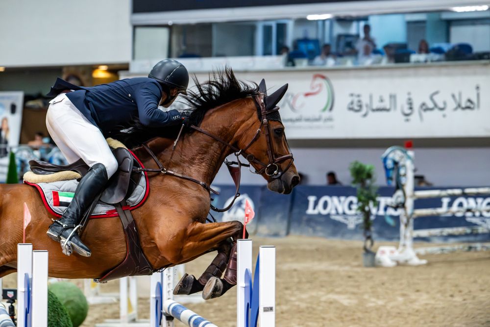 Flight of Trust