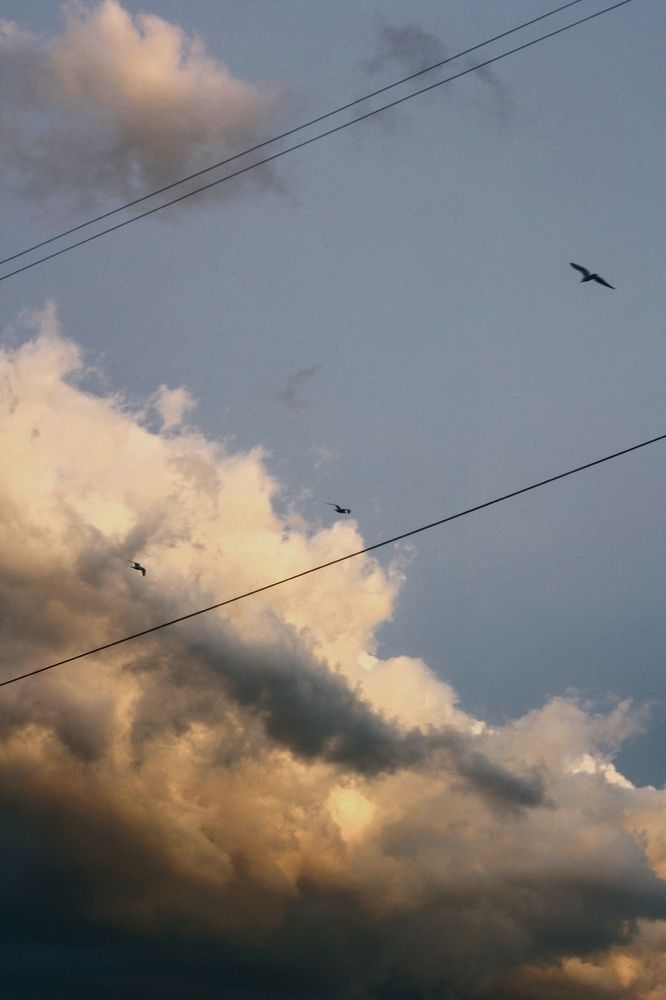 Photograph by Наталья Макаренкова