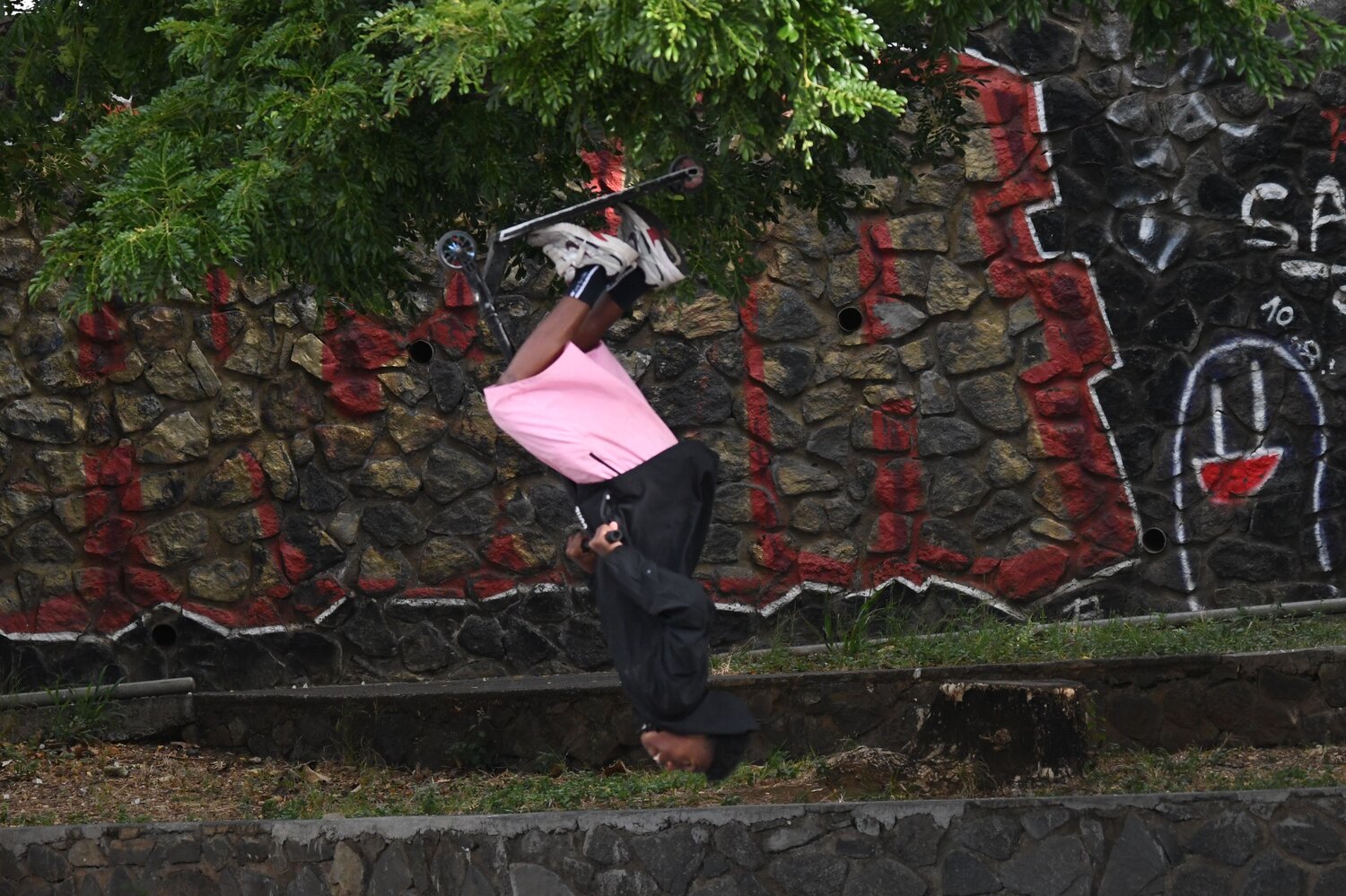 Photo #13746646