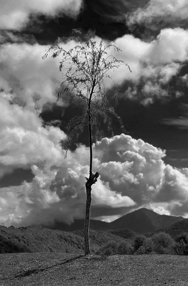 Photograph by Hamidreza zakeri