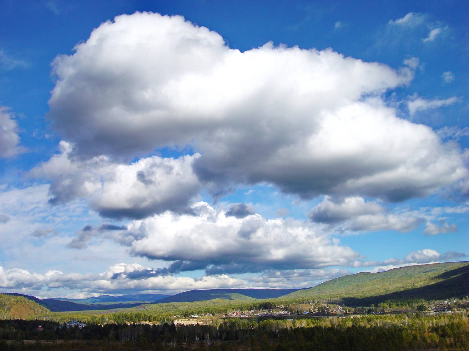 Photo #13746695
