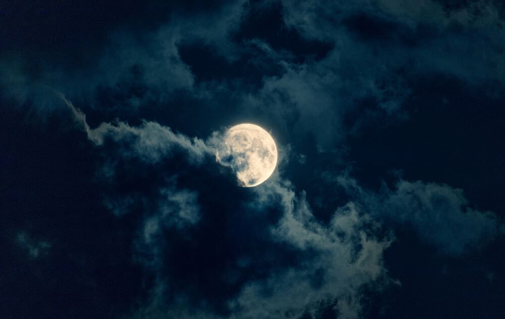 Photograph by Виталий Панченко