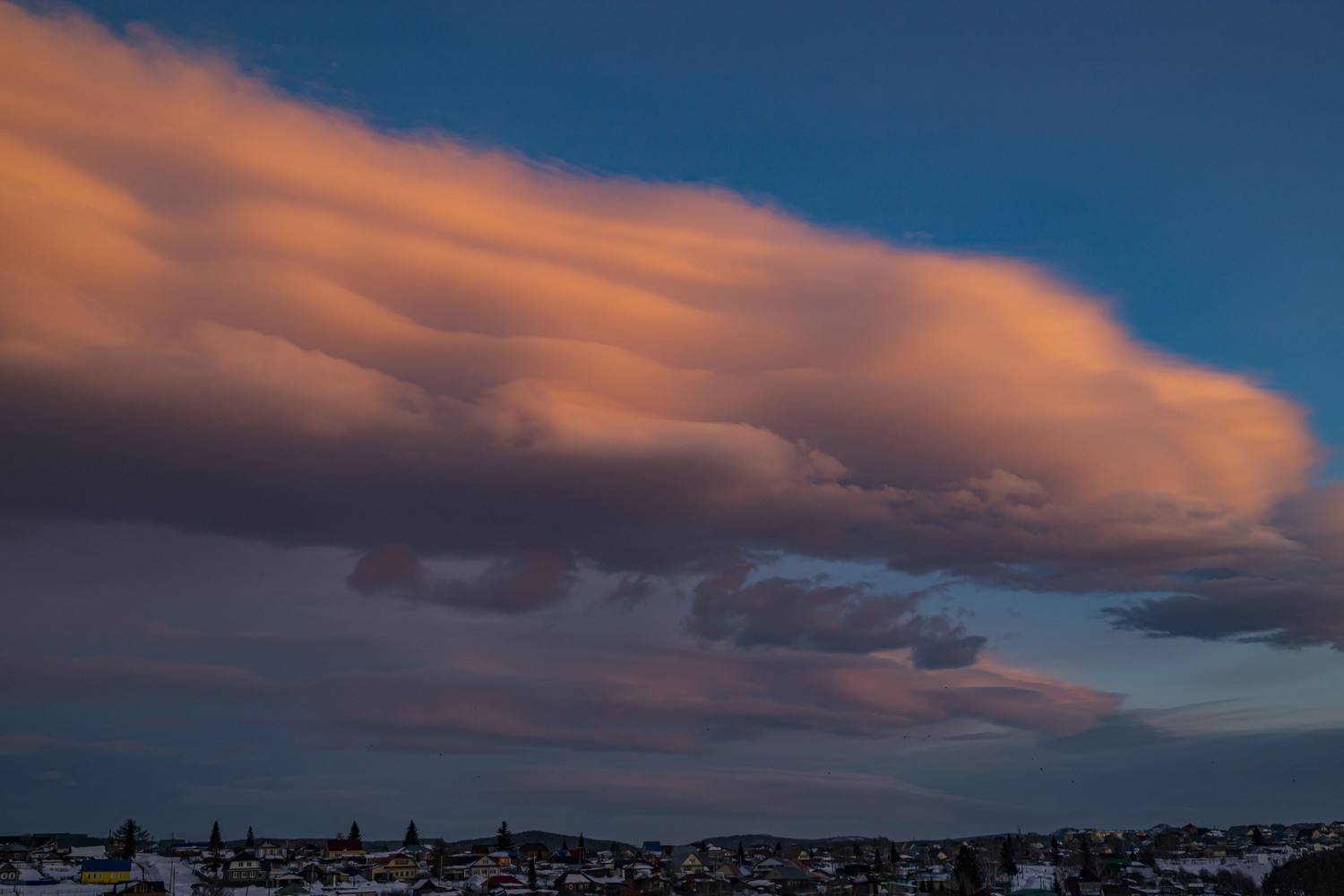 Photo #13746795
