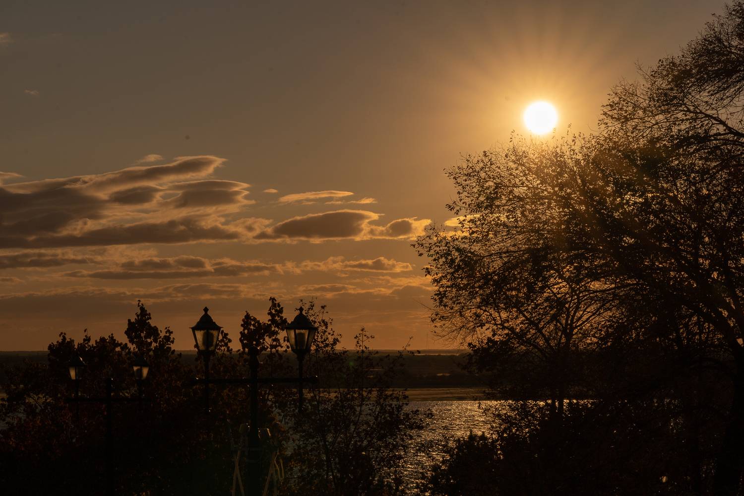 Photo #13746837