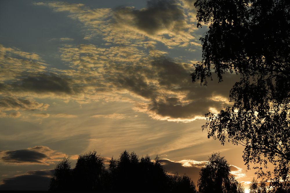 Photograph by Алексей Парамонов
