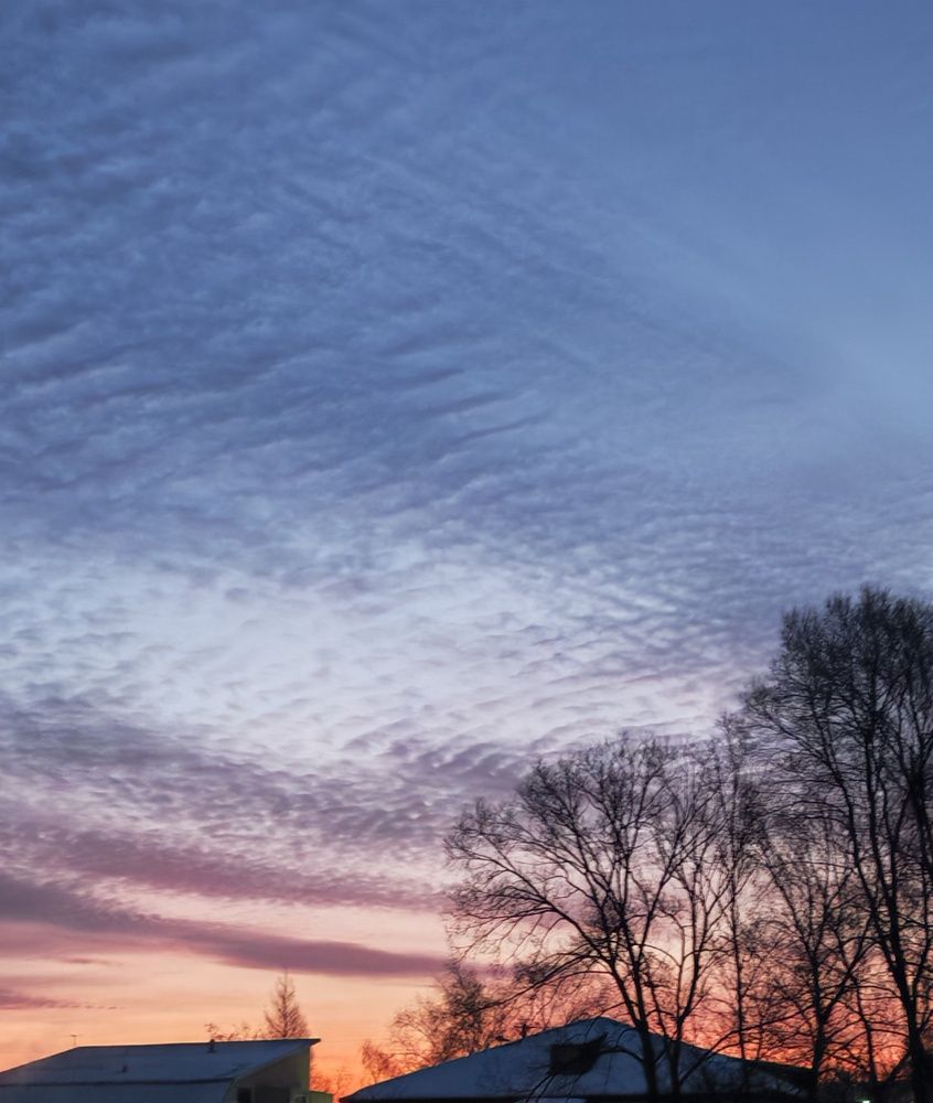 Photo #13746855
