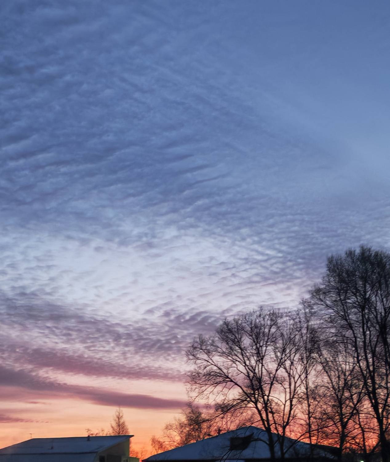 Photo #13746855