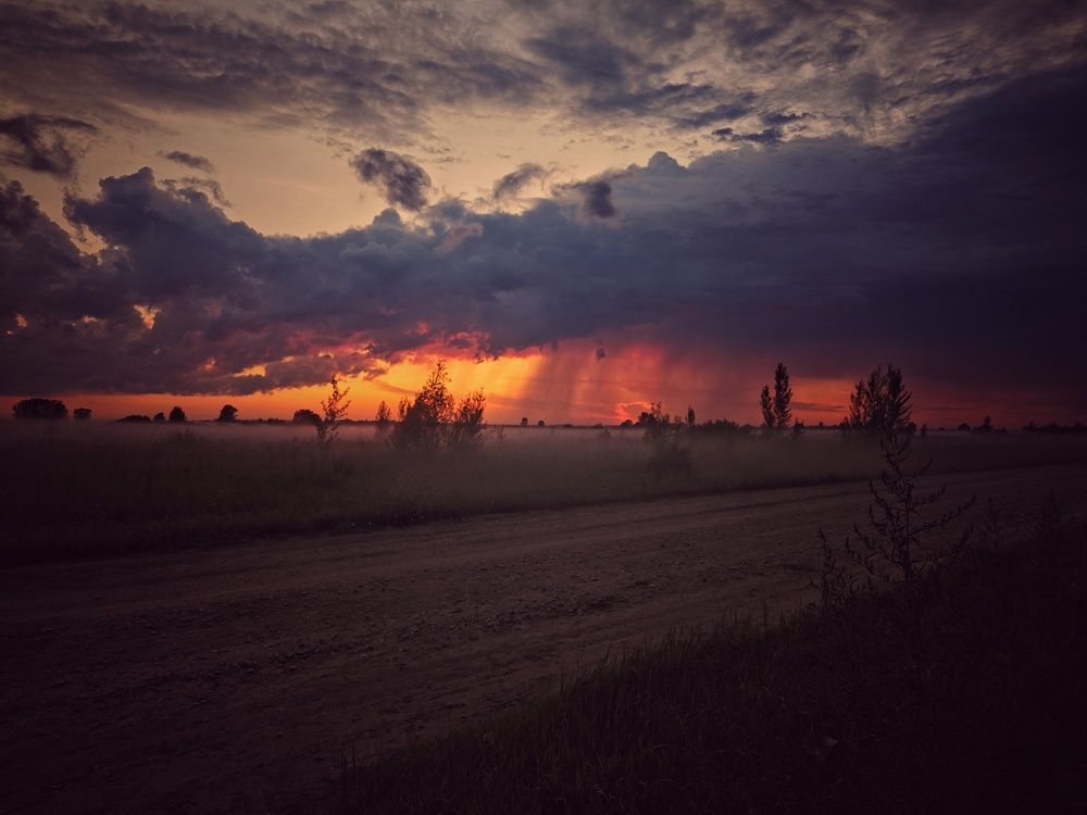 Photo #13746856