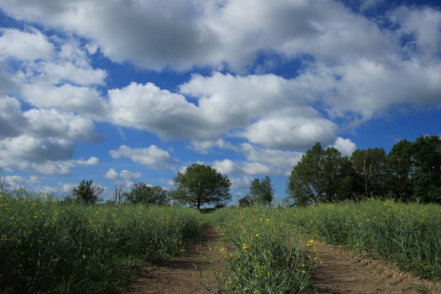 Photo #13746922
