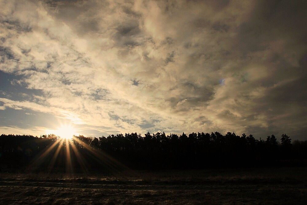 Photo #13746926