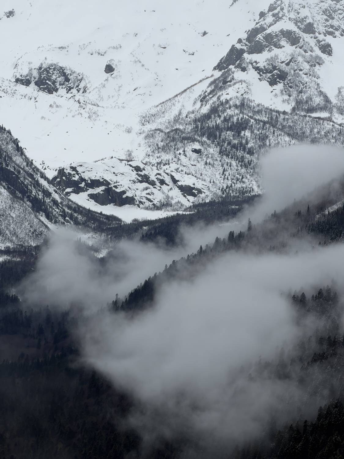 Photo #13746953