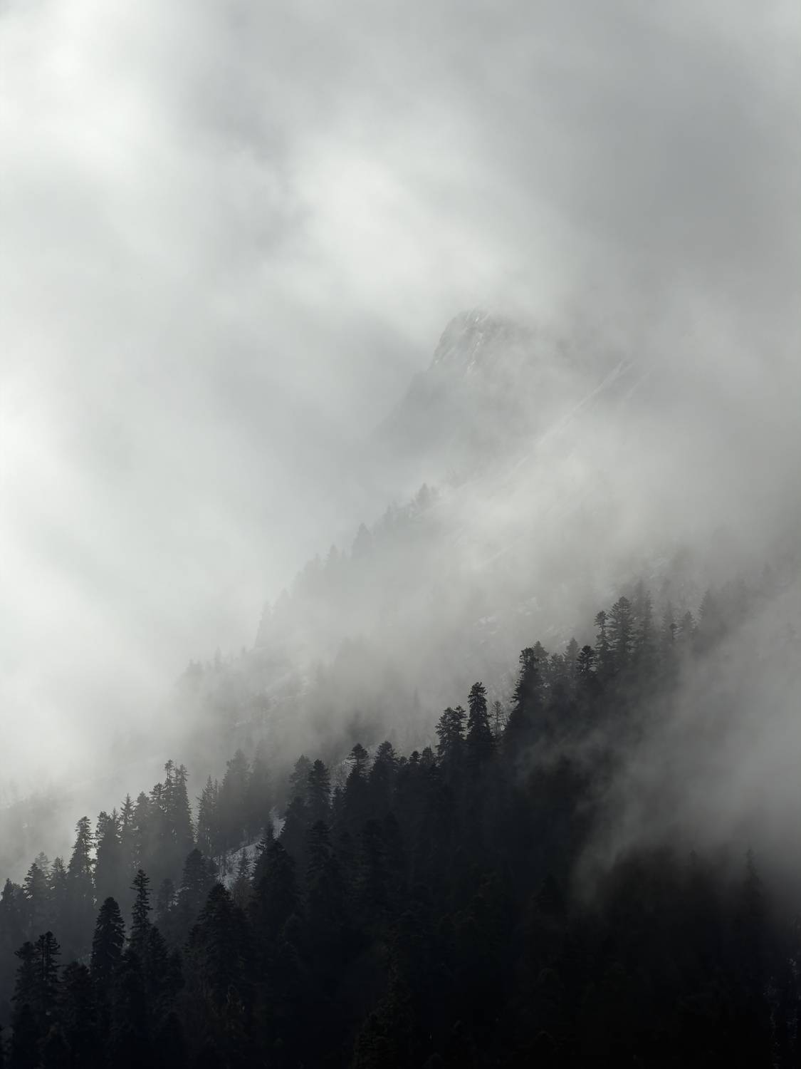 Photo #13746961
