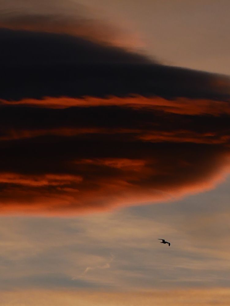 Photograph by Владимир Зубанков
