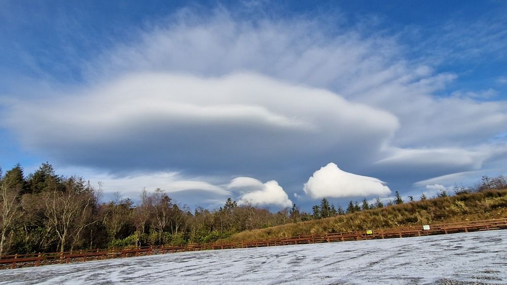 Lenticular