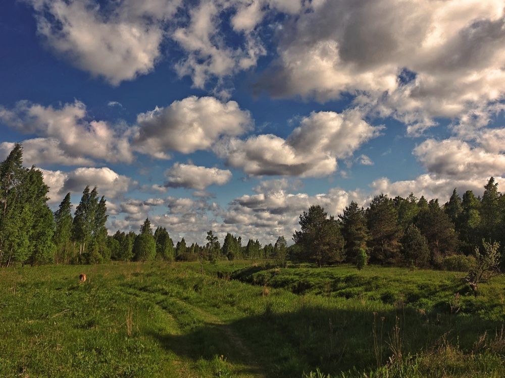 По дороге с облаками.