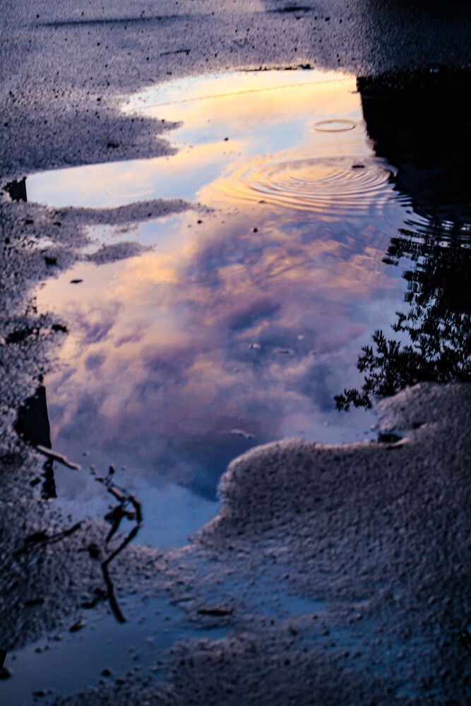 Photograph by Наталия Козлова