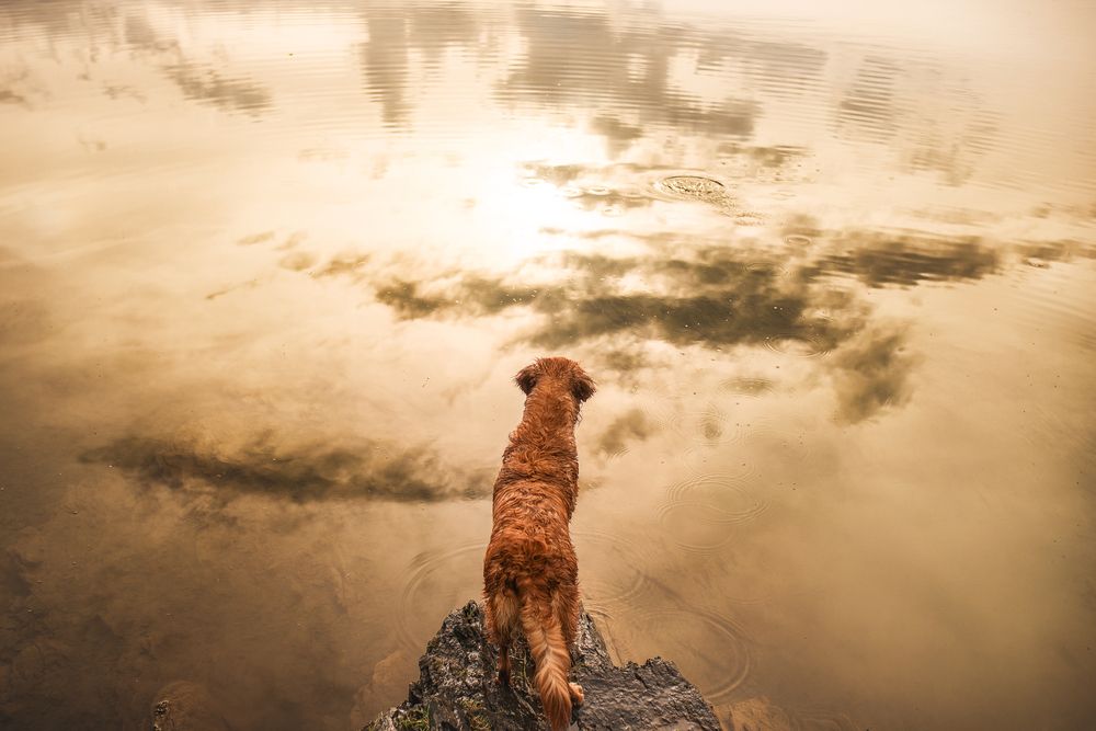 Photograph by Julia Laatz