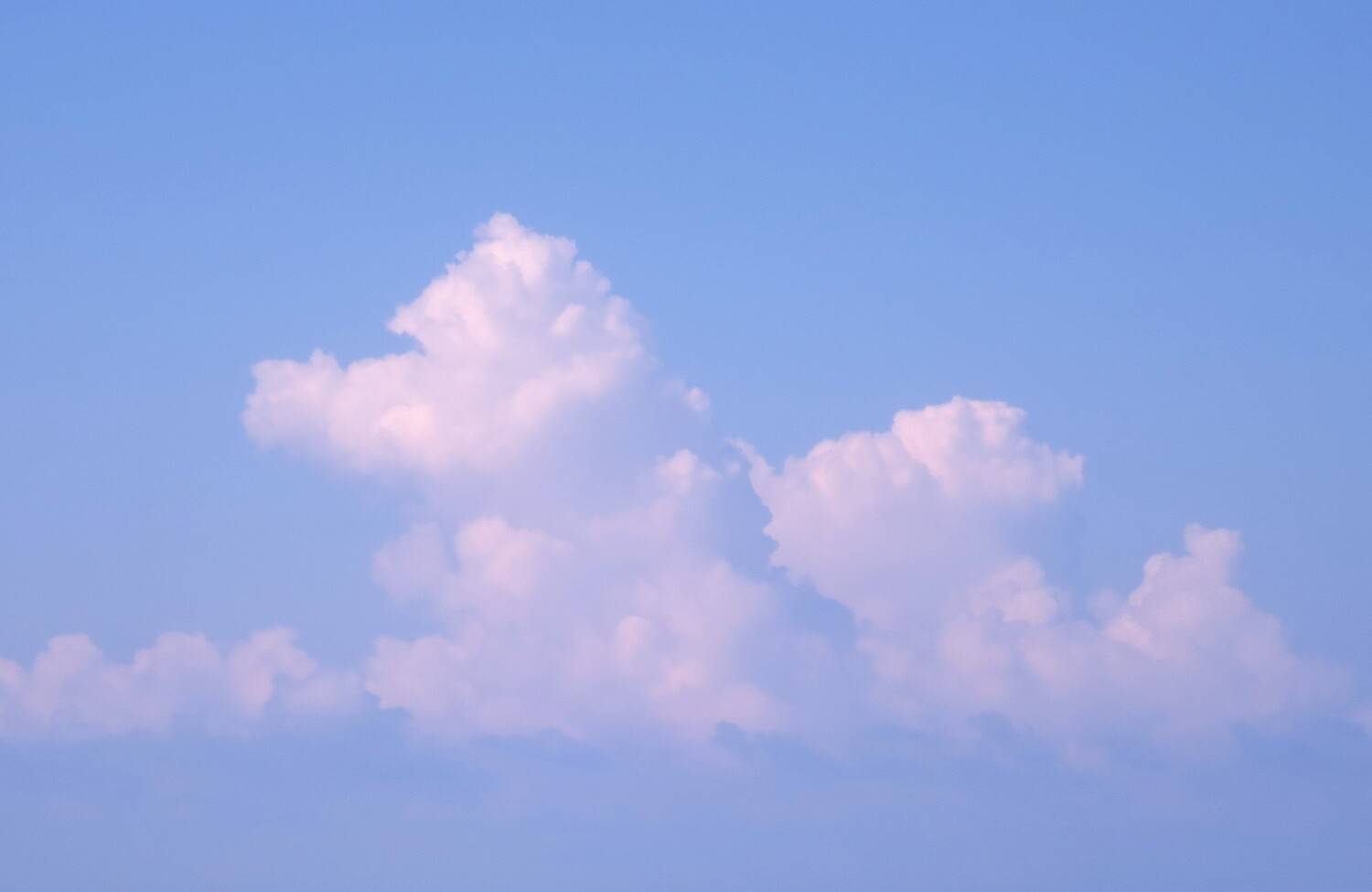 Photo #13747232
