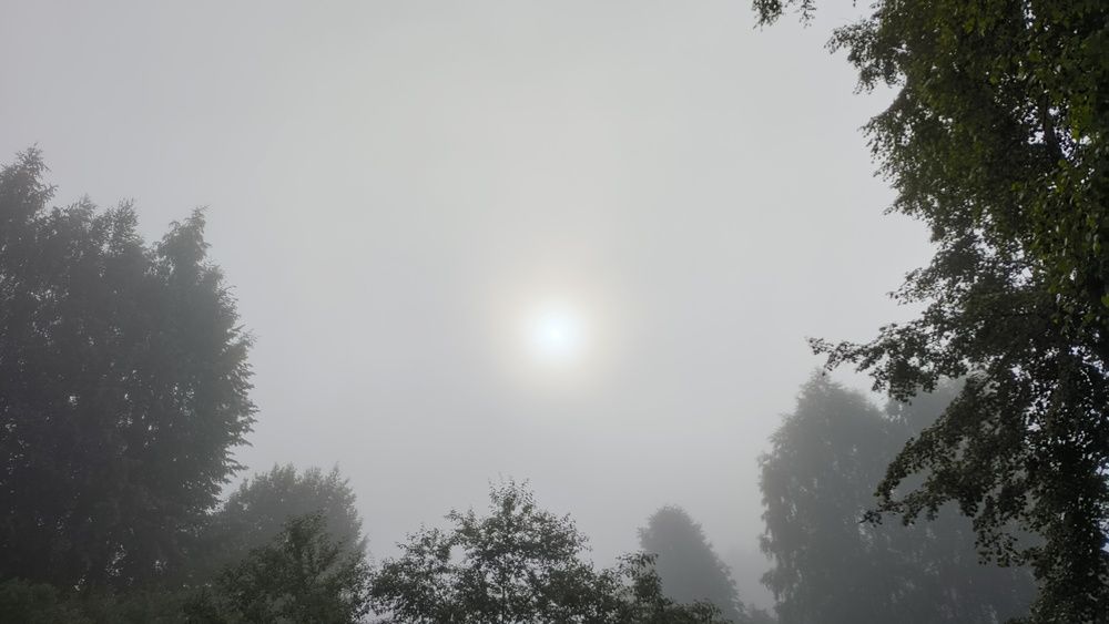 Photo #13747318