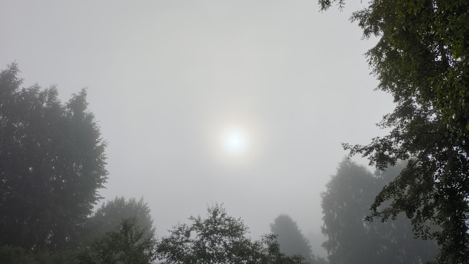 Photo #13747318
