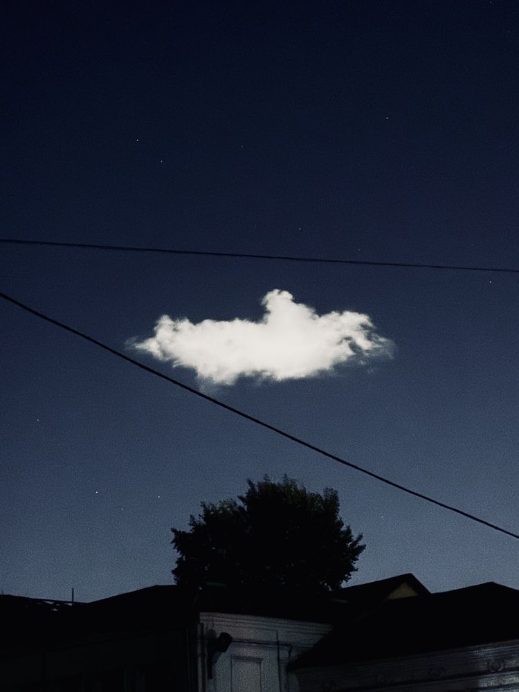 Photo #13747389