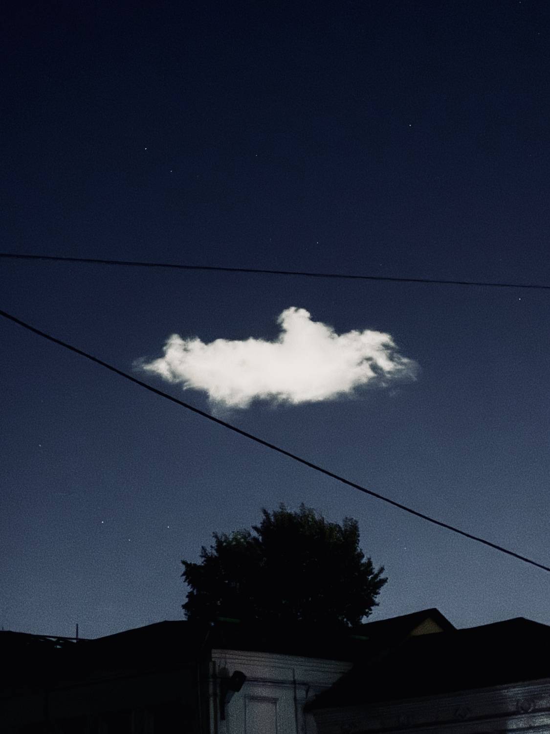 Photo #13747389