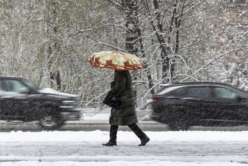 Photograph by Владимир Охрименко