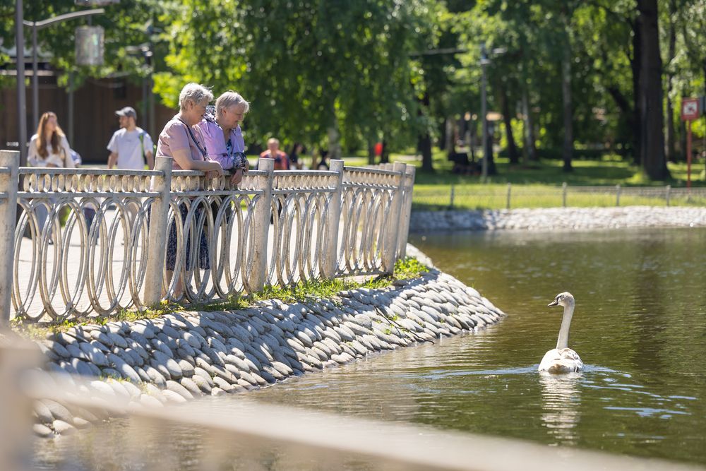 Photograph by Владимир Охрименко